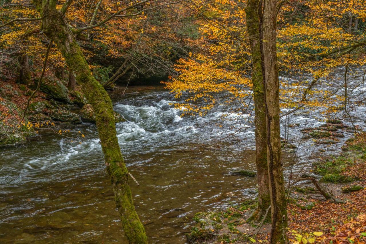 Fox Hollow Little Cove Buitenkant foto